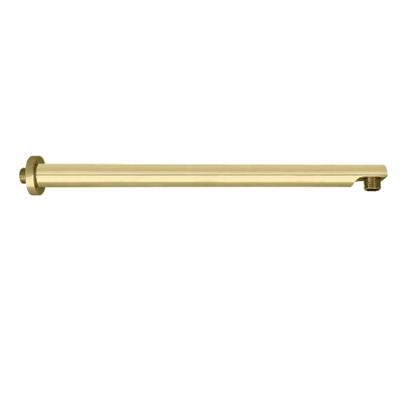 A large image of the Kingston Brass K8119E Polished Brass