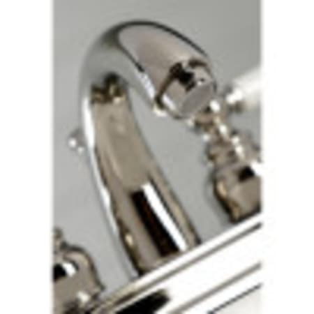 A large image of the Kingston Brass KB561.PL Alternate View