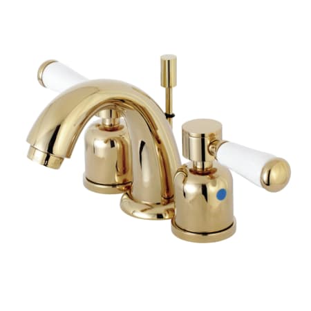 A large image of the Kingston Brass KB891.DPL Polished Brass