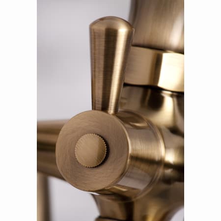 A large image of the Kingston Brass KS287 Alternate View