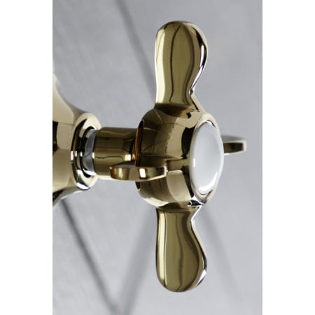 A large image of the Kingston Brass KS303.BEX Alternate View