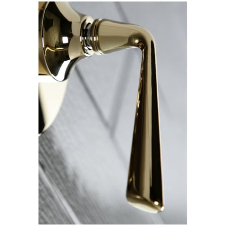 A large image of the Kingston Brass KS303.ZL Alternate Image