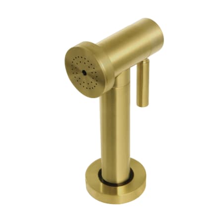 A large image of the Kingston Brass KSSPR Brushed Brass