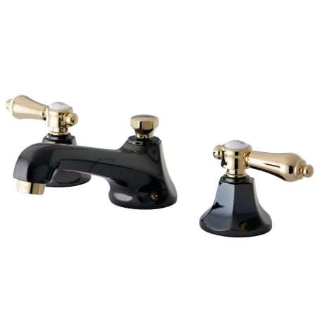 A large image of the Kingston Brass NS4469BAL Black Onyx