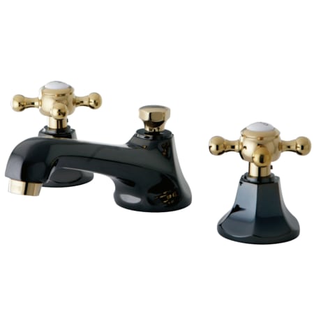 A large image of the Kingston Brass NS4469BX Black Onyx