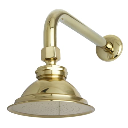 A large image of the Kingston Brass P10.Ck Polished Brass
