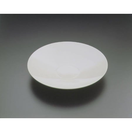 A large image of the Kohler K-2316-NP Natural Porcelain