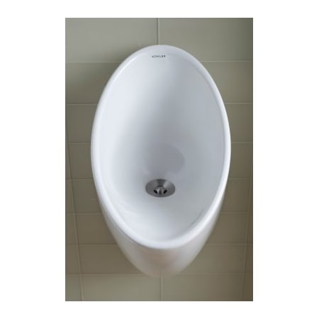 Kohler 4929-na Waterless Urinal Maintenance Balls 17 Count for sale online 