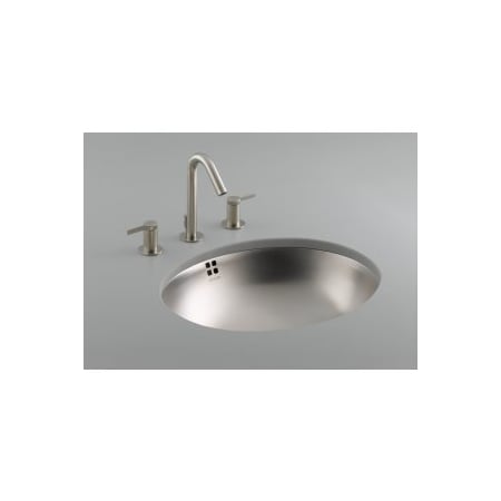 A large image of the Kohler K-2609 Stainless Steel
