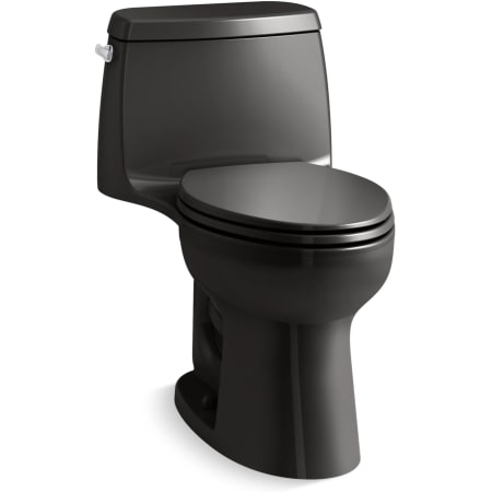 A large image of the Kohler K-30812 Black Black