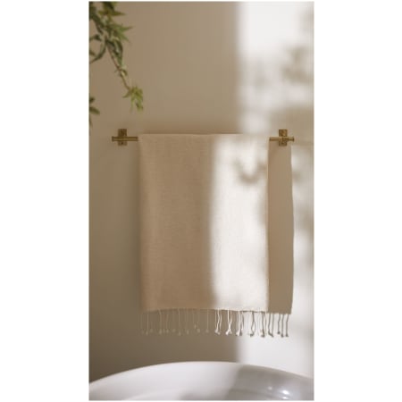 A large image of the Kohler Castia by Studio McGee Accessory Pack 1 Alternate Image