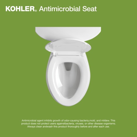 A large image of the Kohler K-24494-A Alternate View