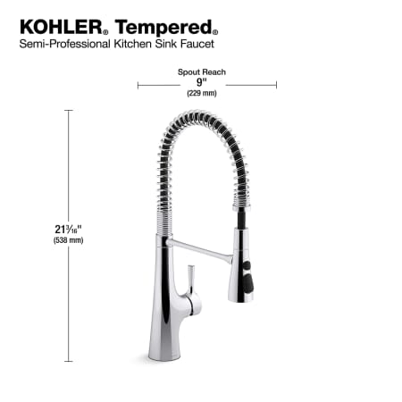 A large image of the Kohler K-24662 Alternate Images