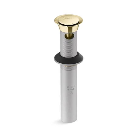 A large image of the Kohler K-25322 Vibrant Polished Brass