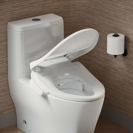 A large image of the Kohler K-26132-CSP Alternate Image