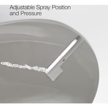 A large image of the Kohler K-26132-CSP Alternate Image