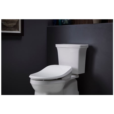 A large image of the Kohler K-26132-CSP Alternate Image