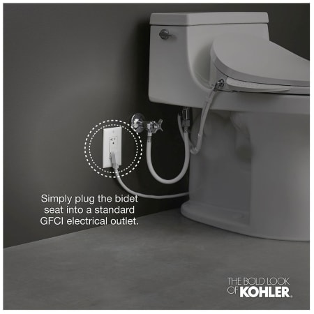 A large image of the Kohler K-26132-CSP Alternate Image