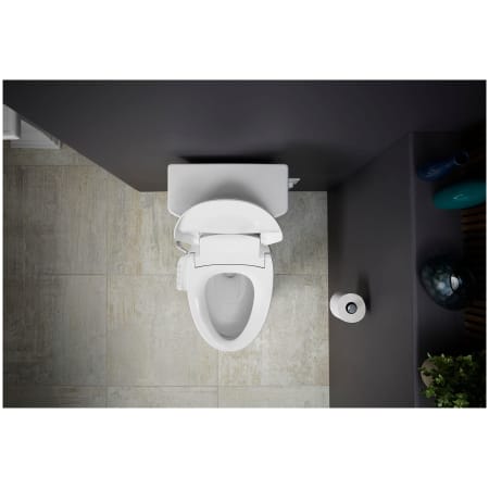 A large image of the Kohler K-26132-CSP Alternate View