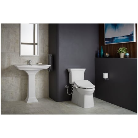 A large image of the Kohler K-26132-CSP Alternate View