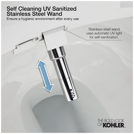 A large image of the Kohler K-26132-CSP Alternate View