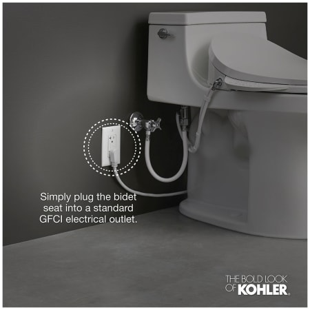 A large image of the Kohler K-26132-CSP Alternate View