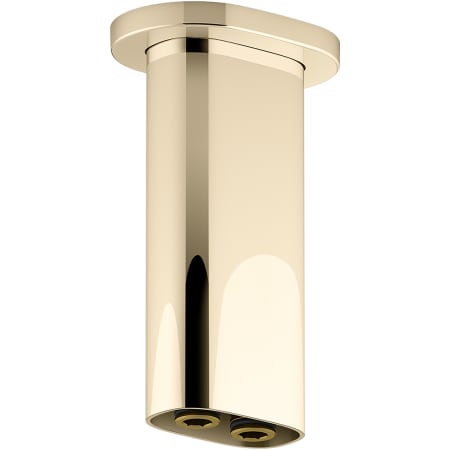 A large image of the Kohler K-26325 Vibrant French Gold