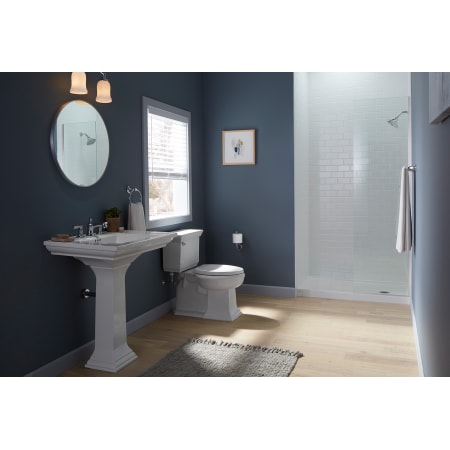 A large image of the Kohler K-26501 Alternate Image