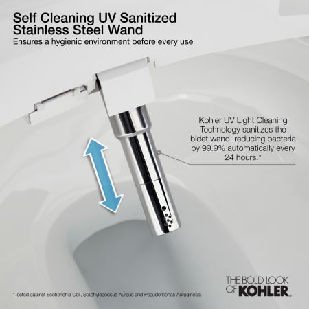 A large image of the Kohler K-27142-CR Alternate Image