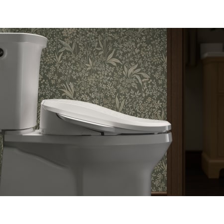 A large image of the Kohler K-28229 Alternate Image