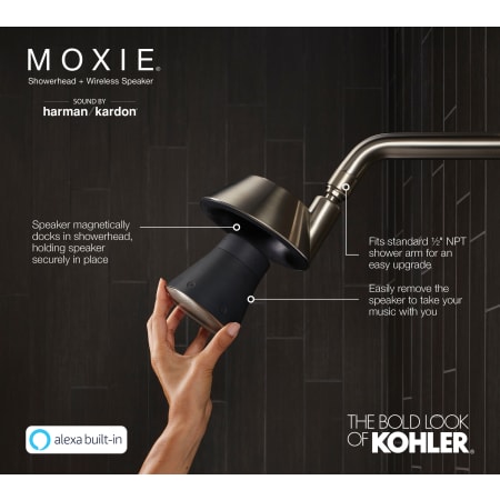 A large image of the Kohler K-28238-GKA Alternate View