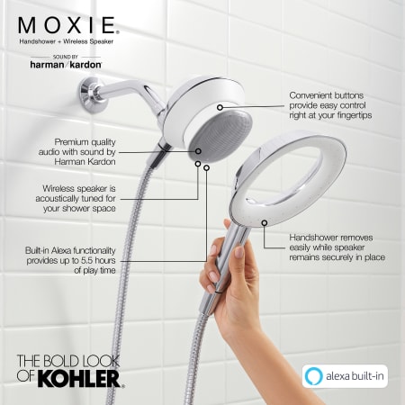 A large image of the Kohler K-28241-GKA Alternate Image