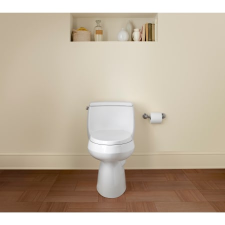 A large image of the Kohler K-3615 Kohler K-3615