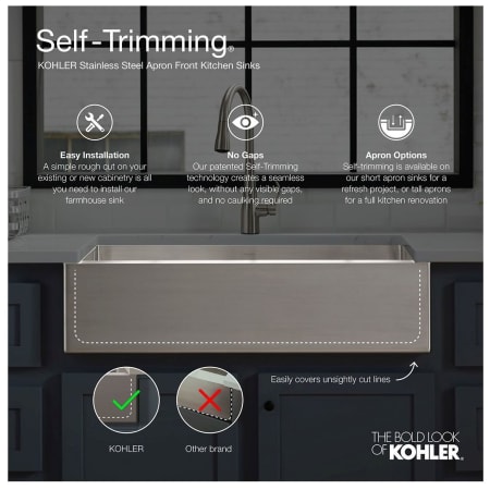 A large image of the Kohler K-3943 Alternate View