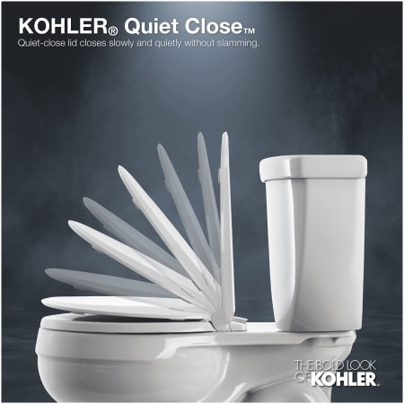 A large image of the Kohler K-4008 Alternate Image