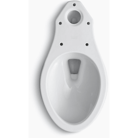 A large image of the Kohler K-4198 Kohler K-4198