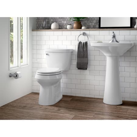 A large image of the Kohler K-4639 Kohler K-4639