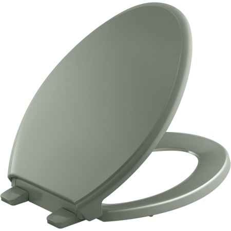 Kohler K-4733-RL-42 Aspen Green Glenbury Elongated Closed-Front Toilet ...