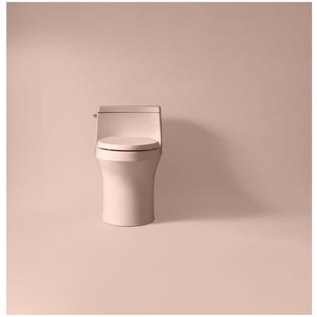 A large image of the Kohler K-5172 Alternate Image