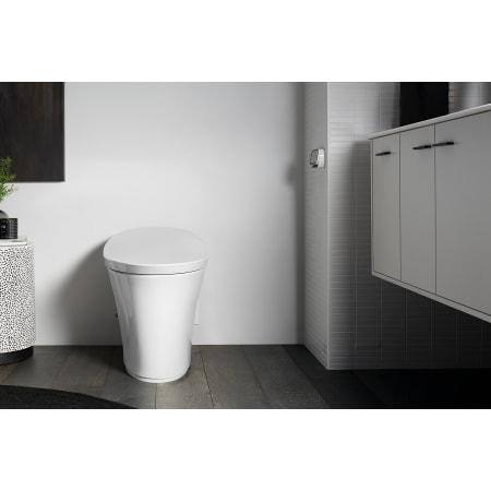 A large image of the Kohler K-5401-PA Front Lifestyle View