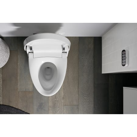 A large image of the Kohler K-5401-PA Top View