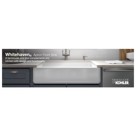 A large image of the Kohler K-5664 Alternate View