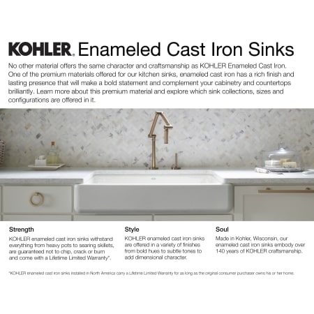 A large image of the Kohler K-5818-2 Kohler-K-5818-2-Kohler Cast Iron