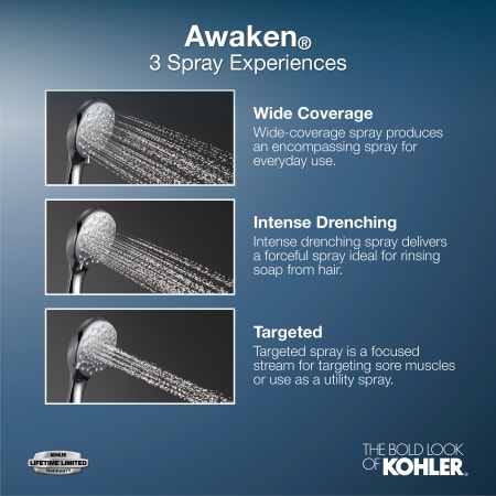 A large image of the Kohler K-72421-G Alternate Image