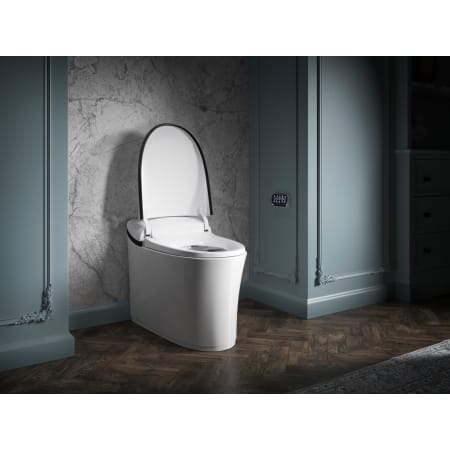 A large image of the Kohler K-77795 Alternate Image