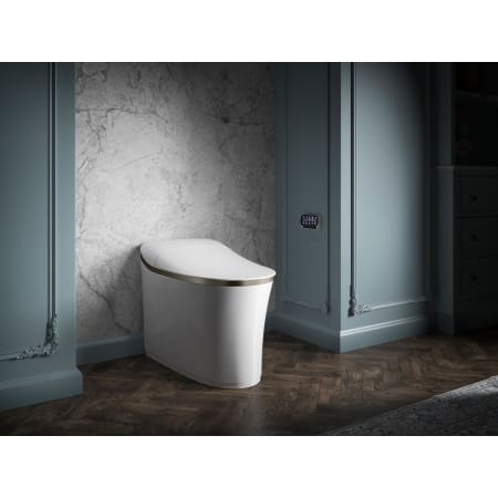 A large image of the Kohler K-77795 Alternate Image