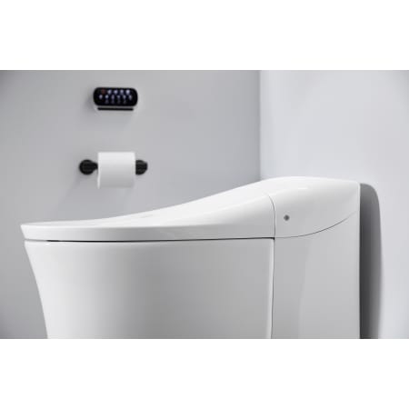 A large image of the Kohler K-77795 Alternate Image