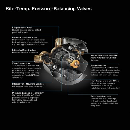 A large image of the Kohler K-8304-PS Infographic