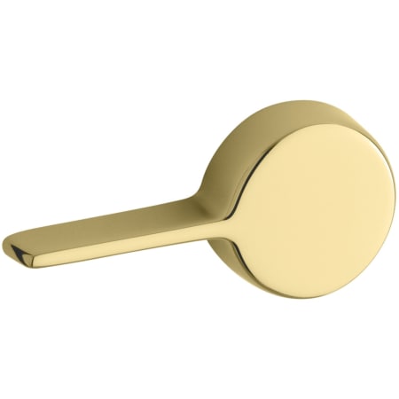 A large image of the Kohler K-9466-L Polished Brass