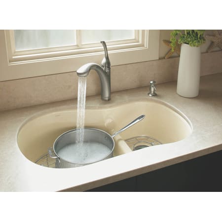 A large image of the Kohler K-10433 Kohler K-10433